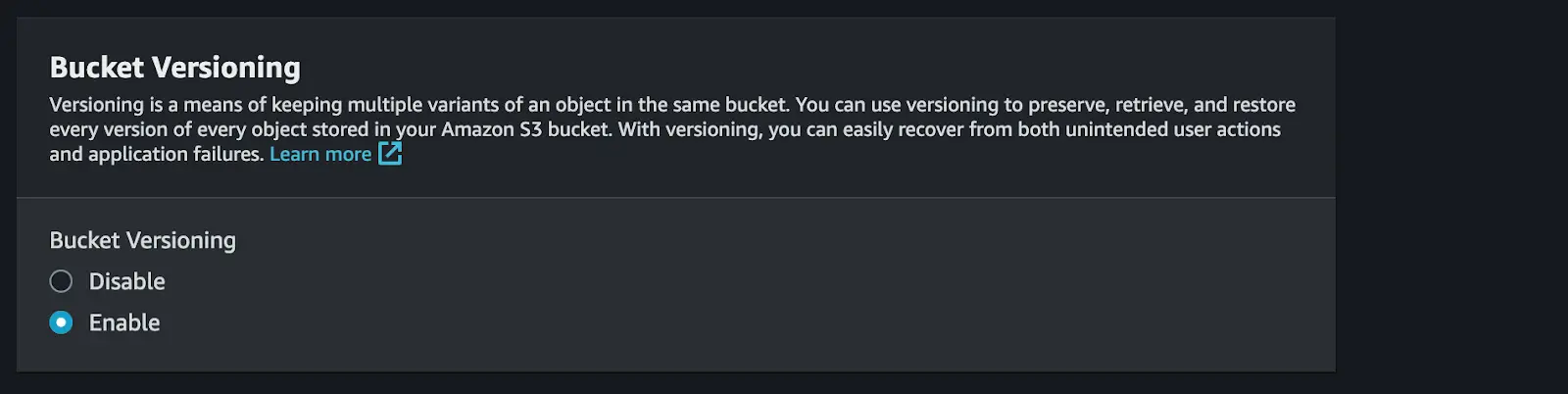  Bucket Versioning 